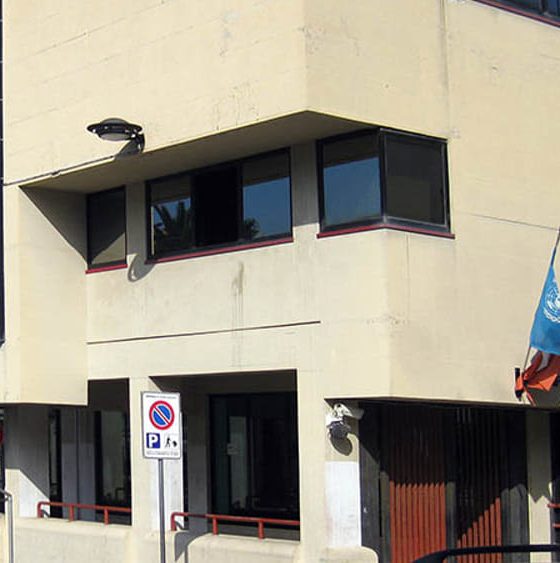 palmi tribunale