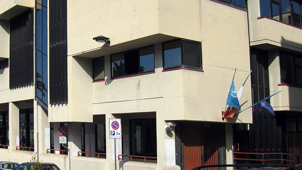 palmi tribunale